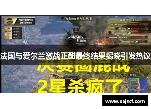 法国与爱尔兰激战正酣最终结果揭晓引发热议