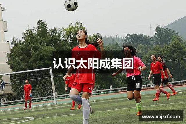 认识太阳成集团
